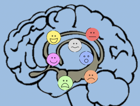 El Cerebro Emocional y sus Investigadores